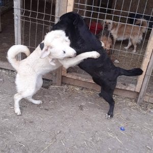 6AECD6D8-8FFE-4D7F-BE9A-C34235425650