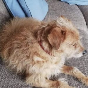 0ABB6B91-CBF3-43B1-8C12-E8BC8AF08CE2