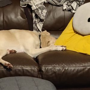 277662930_275800294616493_3971936196278742673_n