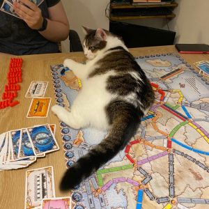 WhatsApp Image 2022-04-05 at 14.04.40 (5)