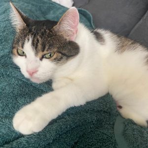 WhatsApp Image 2022-04-05 at 14.04.41 (2)