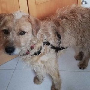 178AE840-0D47-48B7-B57B-82C3CDCE7BB3