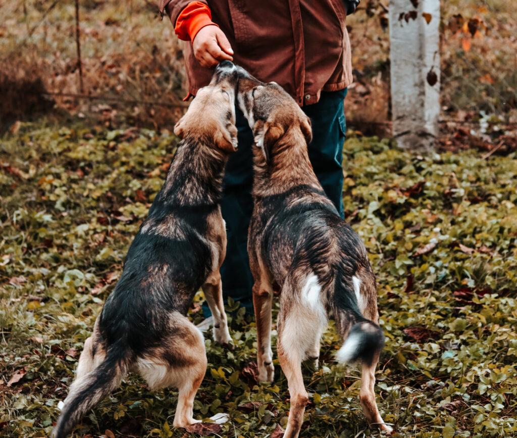 20231115114924_IMG_0559