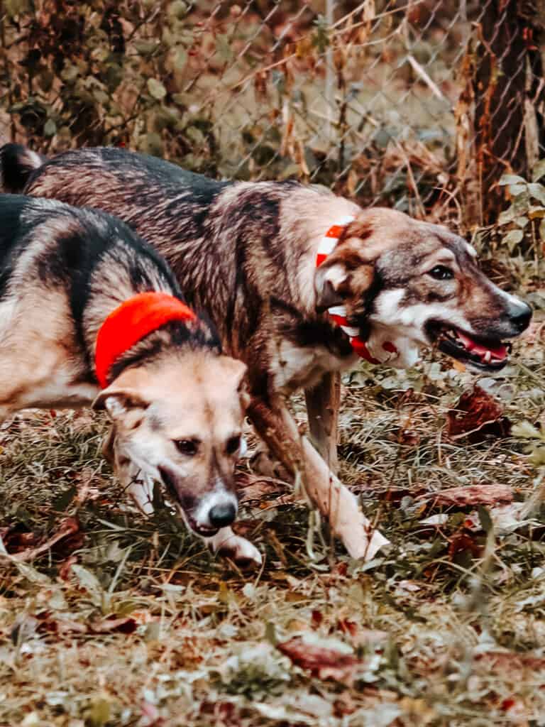 20231115115214_IMG_0564 (1)