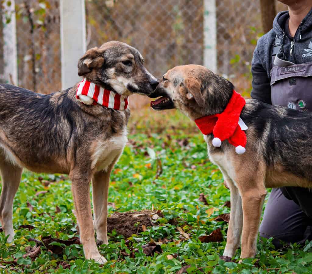 20231115120052_IMG_0676