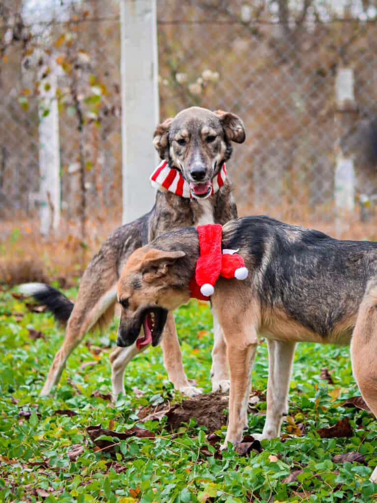 20231115120107_IMG_0682