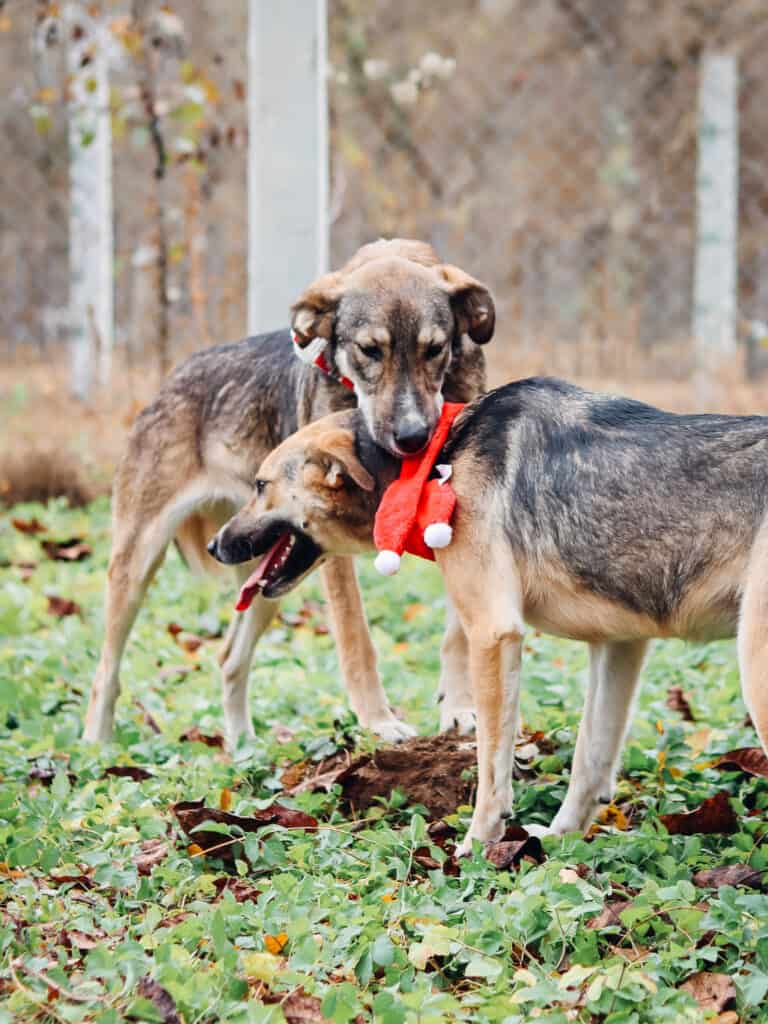 20231115120108_IMG_0683