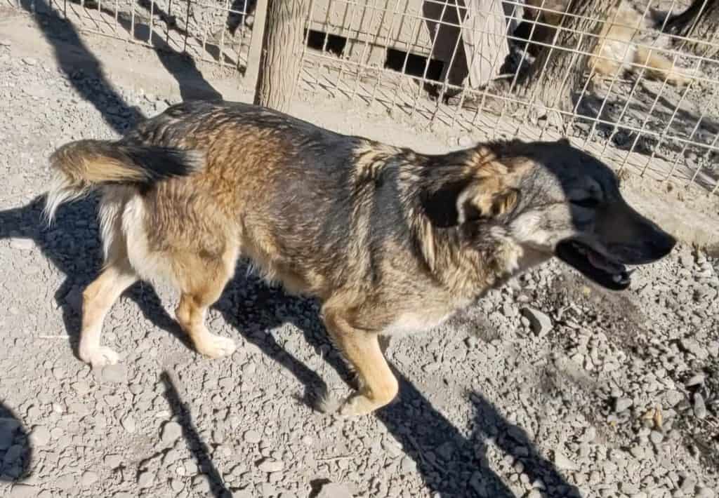 inbound1652866915917291667