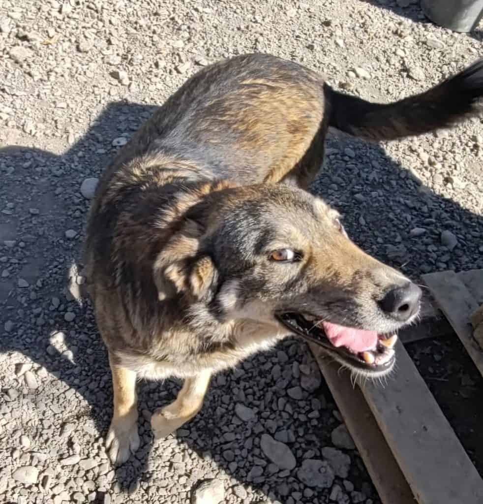 inbound4362761338198824639