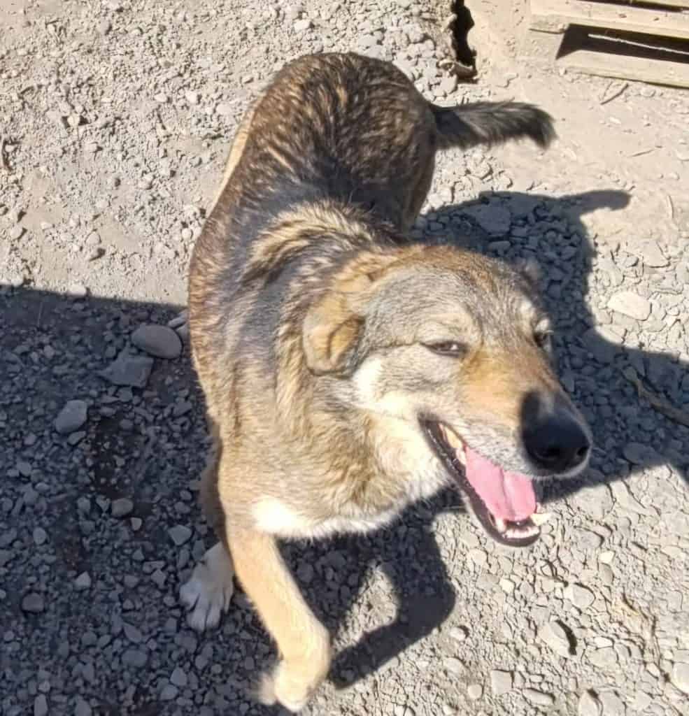 inbound6921423367214388105