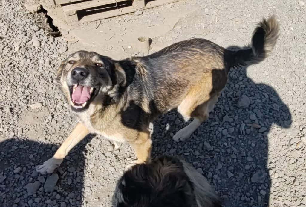 inbound745579694326315086