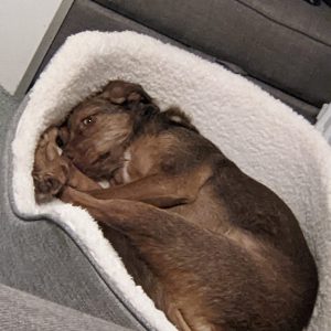 278628702_568126427750877_1729659707144367857_n