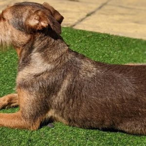 278843420_304649128488400_5393259652850764881_n