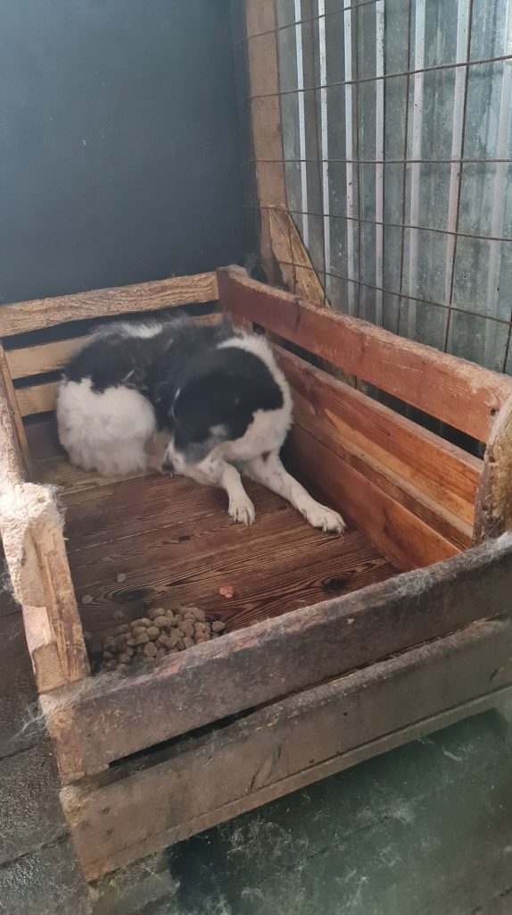 278988503_659529838680053_3868890277115779693_n