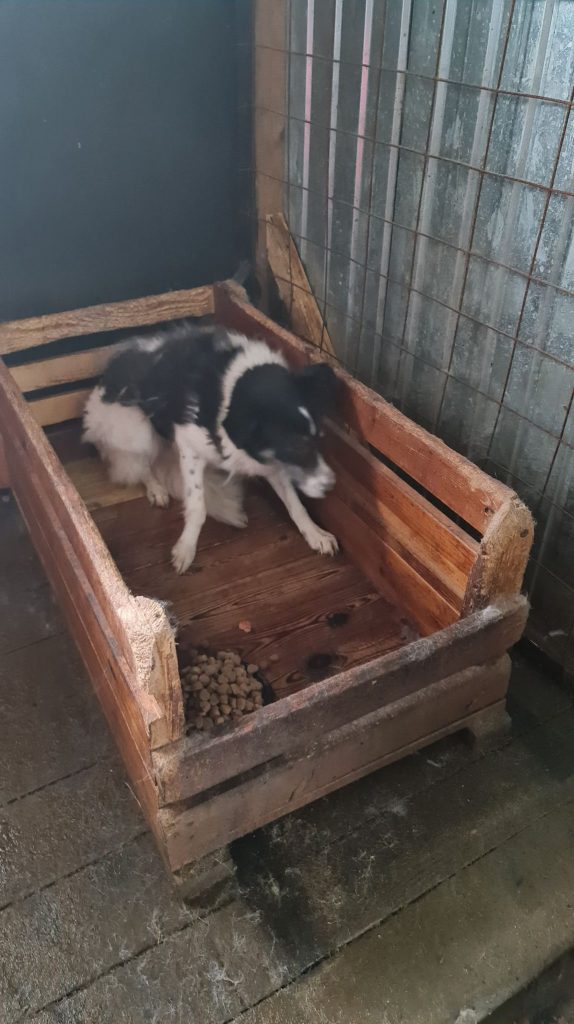 279013142_2811276709018040_3434463318514441670_n