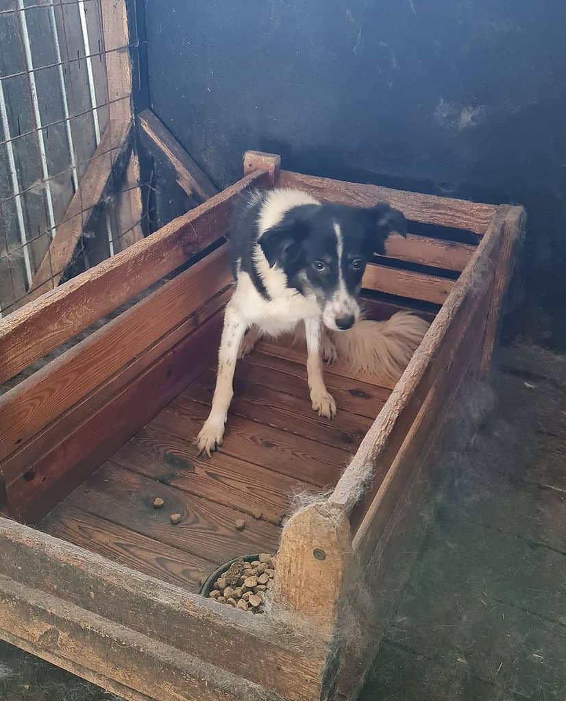 304779388_571587041357605_6356268999056706601_n