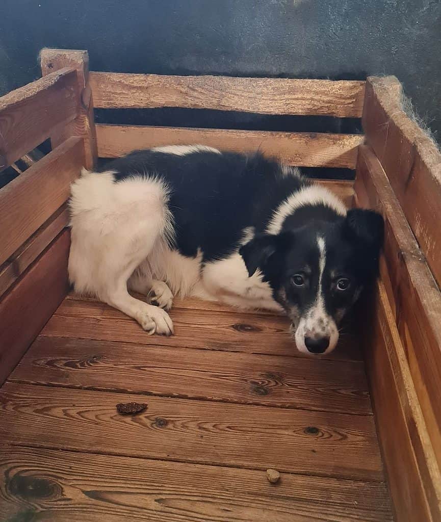 304798970_327786226192651_4879631643529562804_n