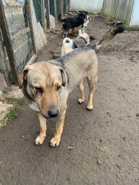 476463111_1317366146137169_6268167535255210552_n