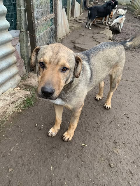 480399624_652247720638375_6723244684000431392_n