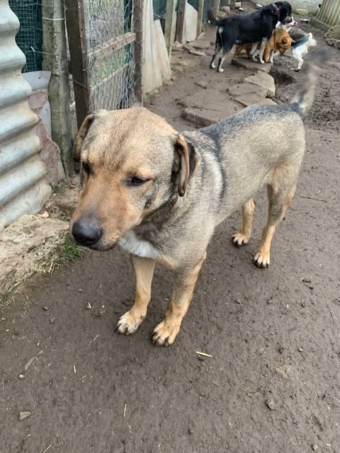 481673755_643939391358390_351562342624767916_n