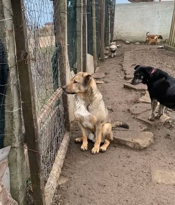 481762966_650255440825412_7019880966191072319_n