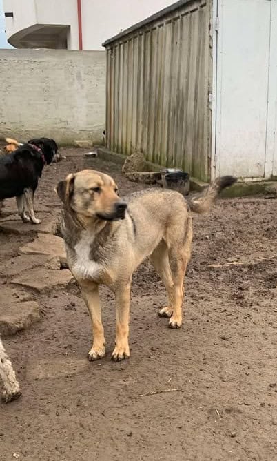 481953331_1314996743121855_4606384763797787366_n