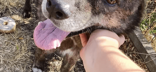 LEROY (rra) LEROY (rra)