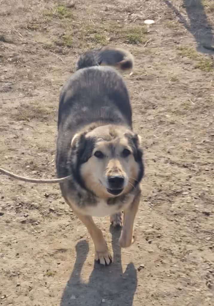 inbound7498481425624731011