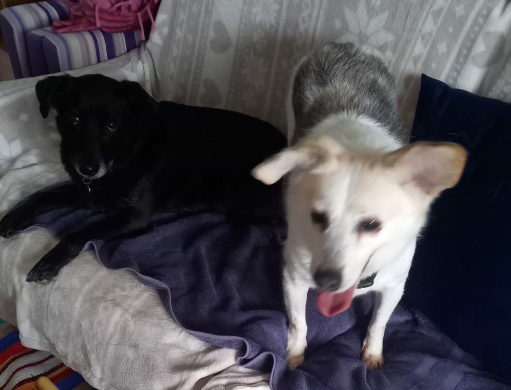 inbound8437265240633154875