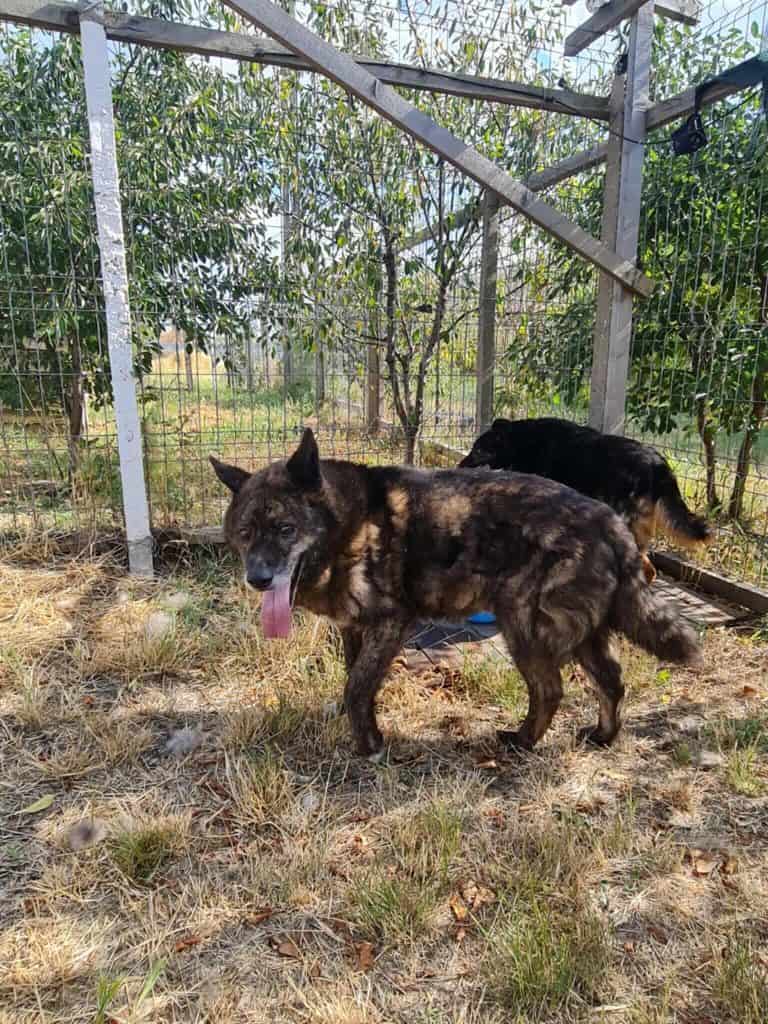 received_1150845973742576