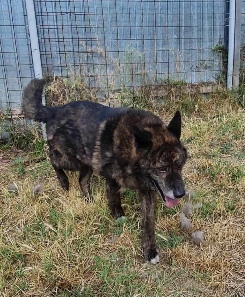 received_1560824941989668