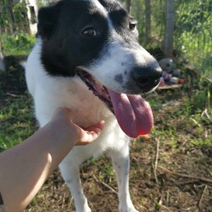 received_561411533126903