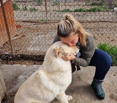 487124137_1326917381832309_5888280498083907814_n