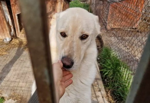 487317662_3984905761728583_3597820112707012527_n