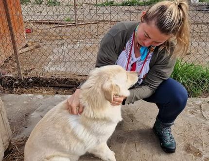 487470213_1002191651468332_7763102449788220125_n