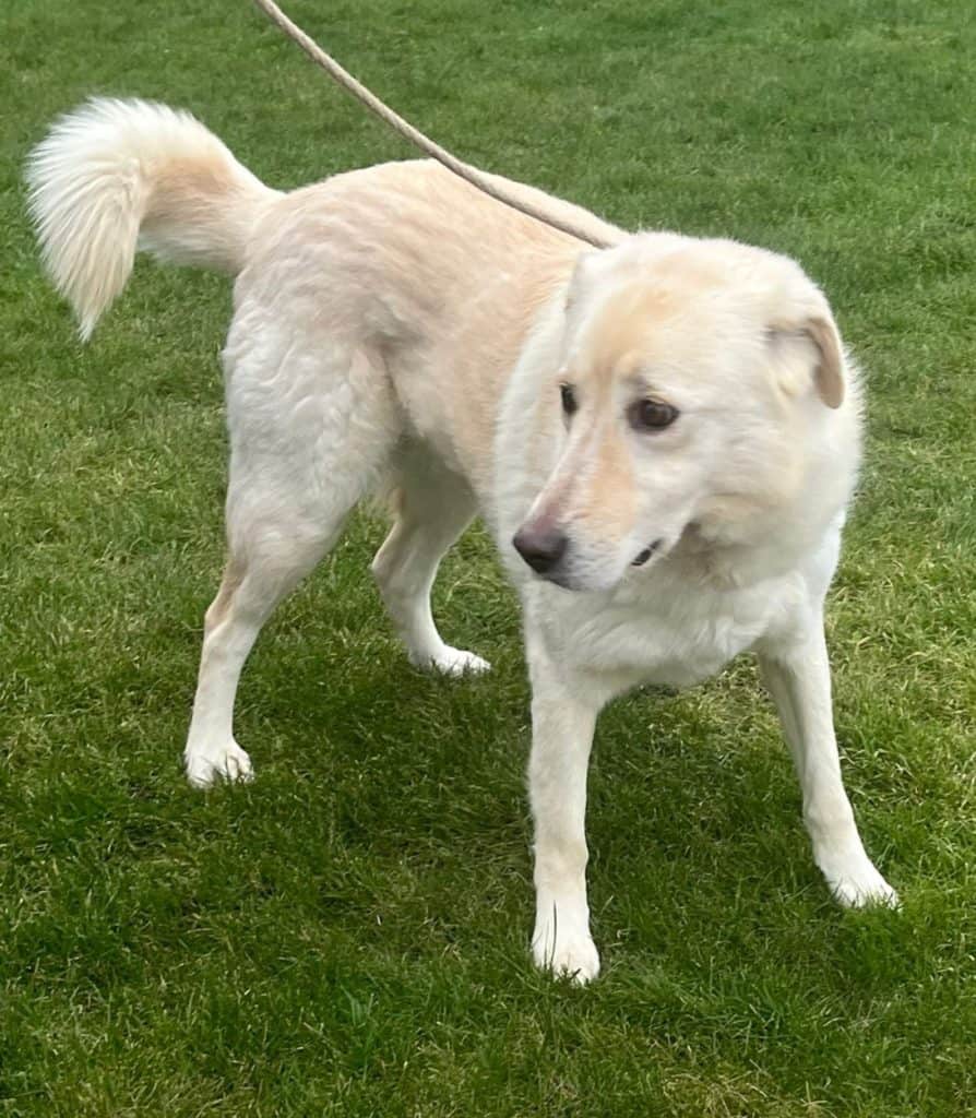 inbound2005954500289108957