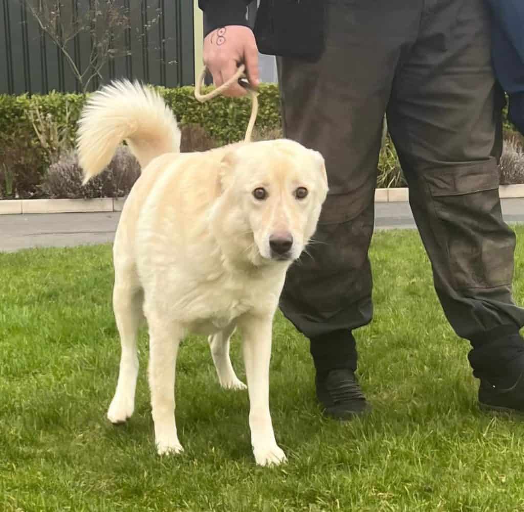 inbound7093882681745779393