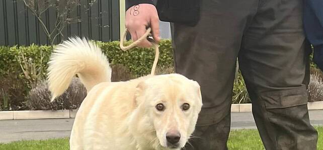 APOLO – Lancashire