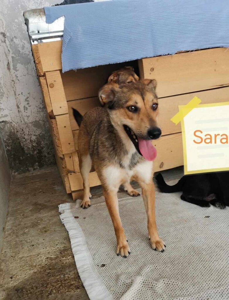 441370954_861252039161946_6235776451075023127_n