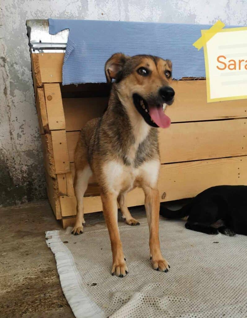 441397837_25727934036822377_7068497315939836620_n