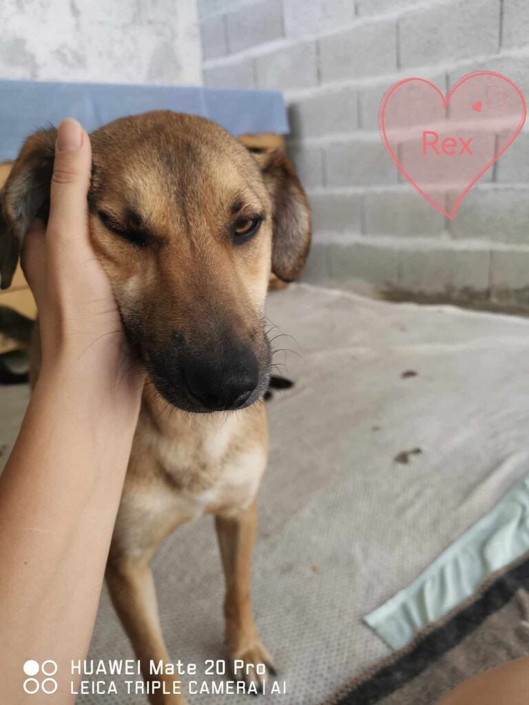 441420838_981684243440169_6388064659903203760_n