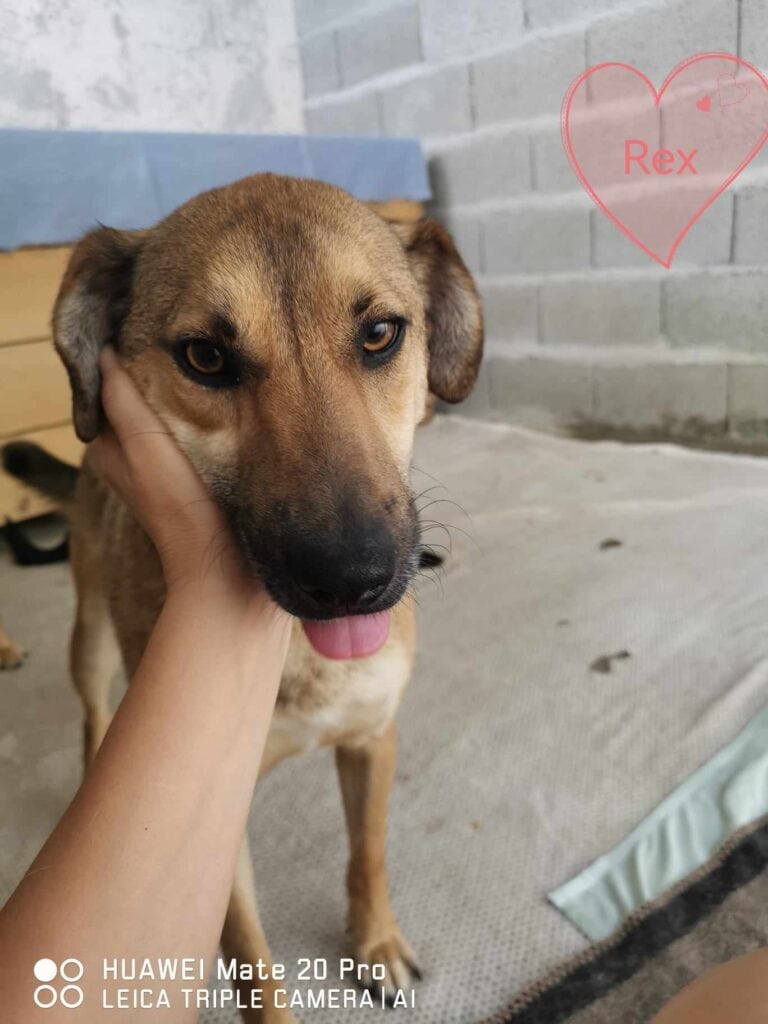 441519466_500125685774431_7436442120091789607_n