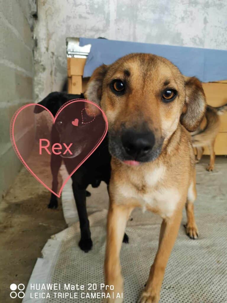 448441348_437322122515231_6736476263941573780_n