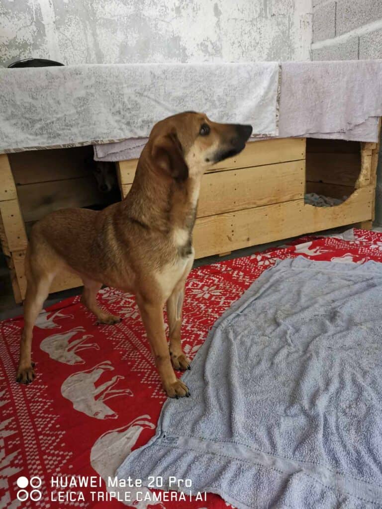 received_948472526660155