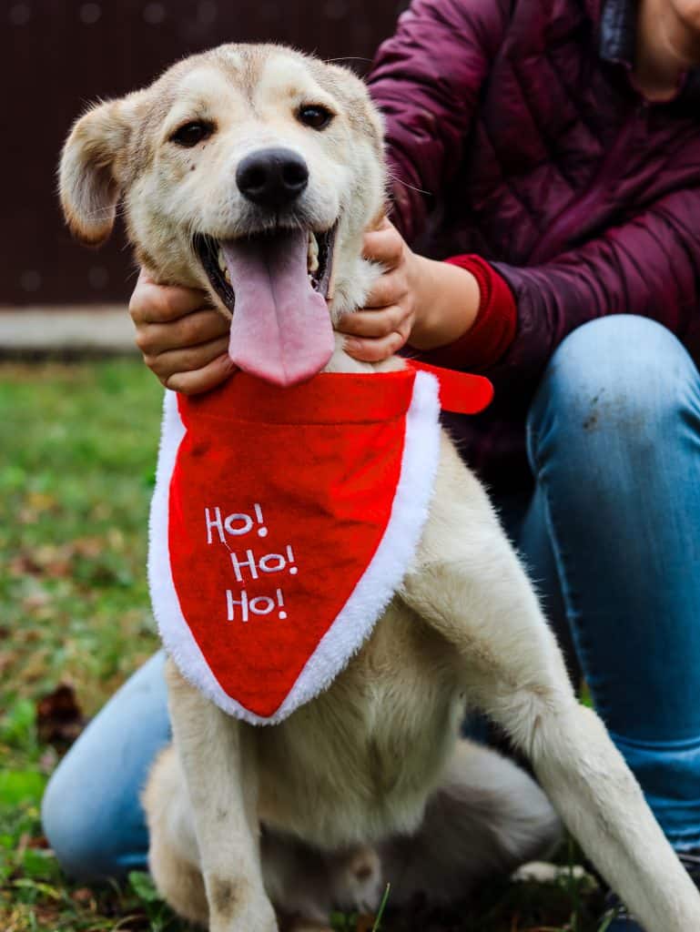 20231115112831_IMG_0479