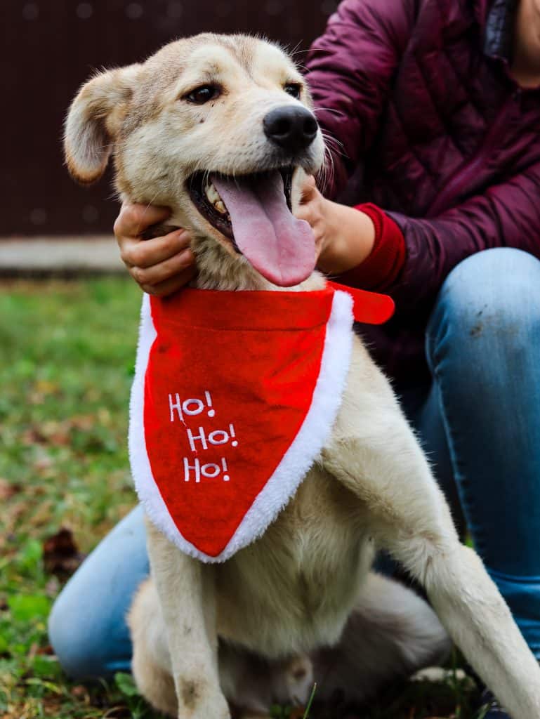 20231115112831_IMG_0480