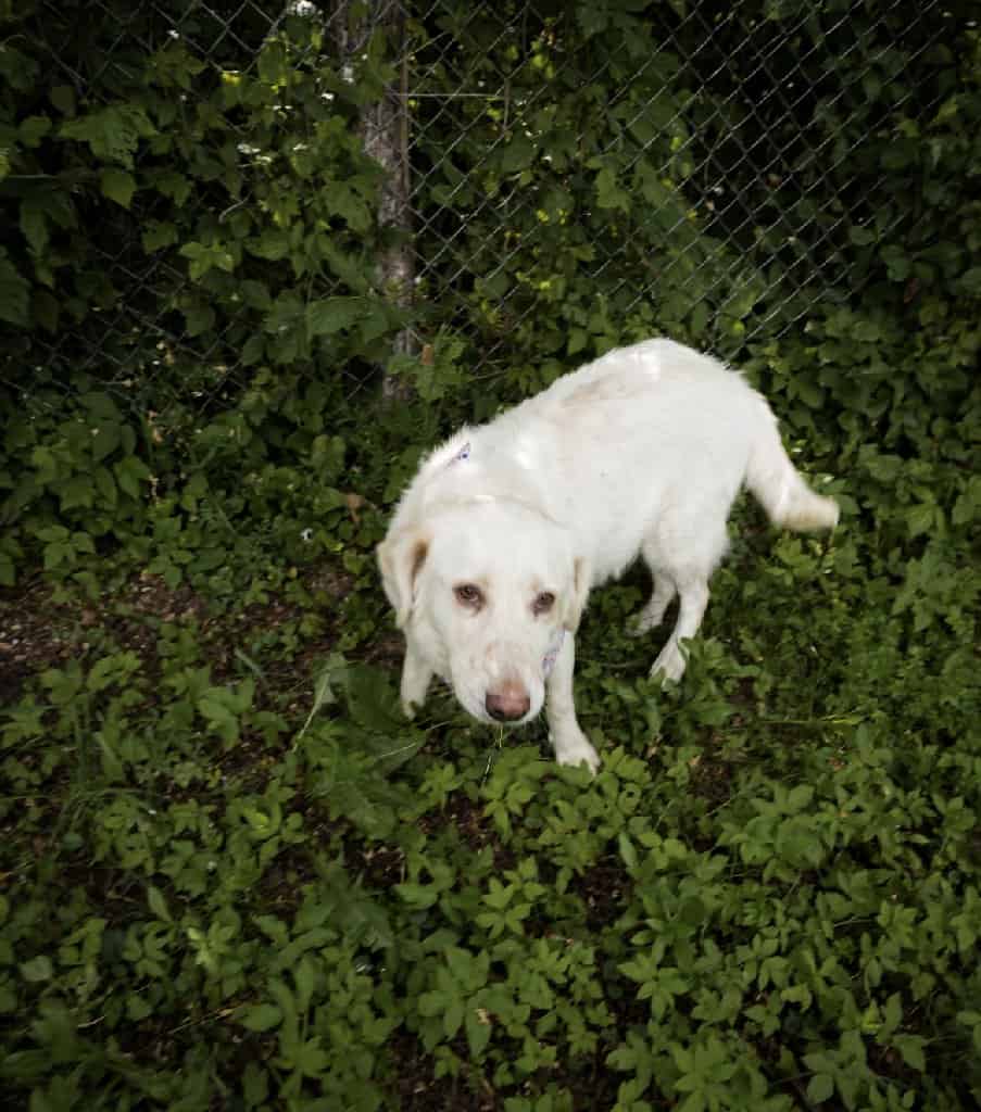 446799149_766336318954439_2160058246171147588_n