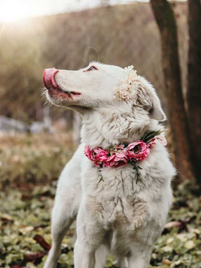 446952128_766335722287832_5763847046291961758_n