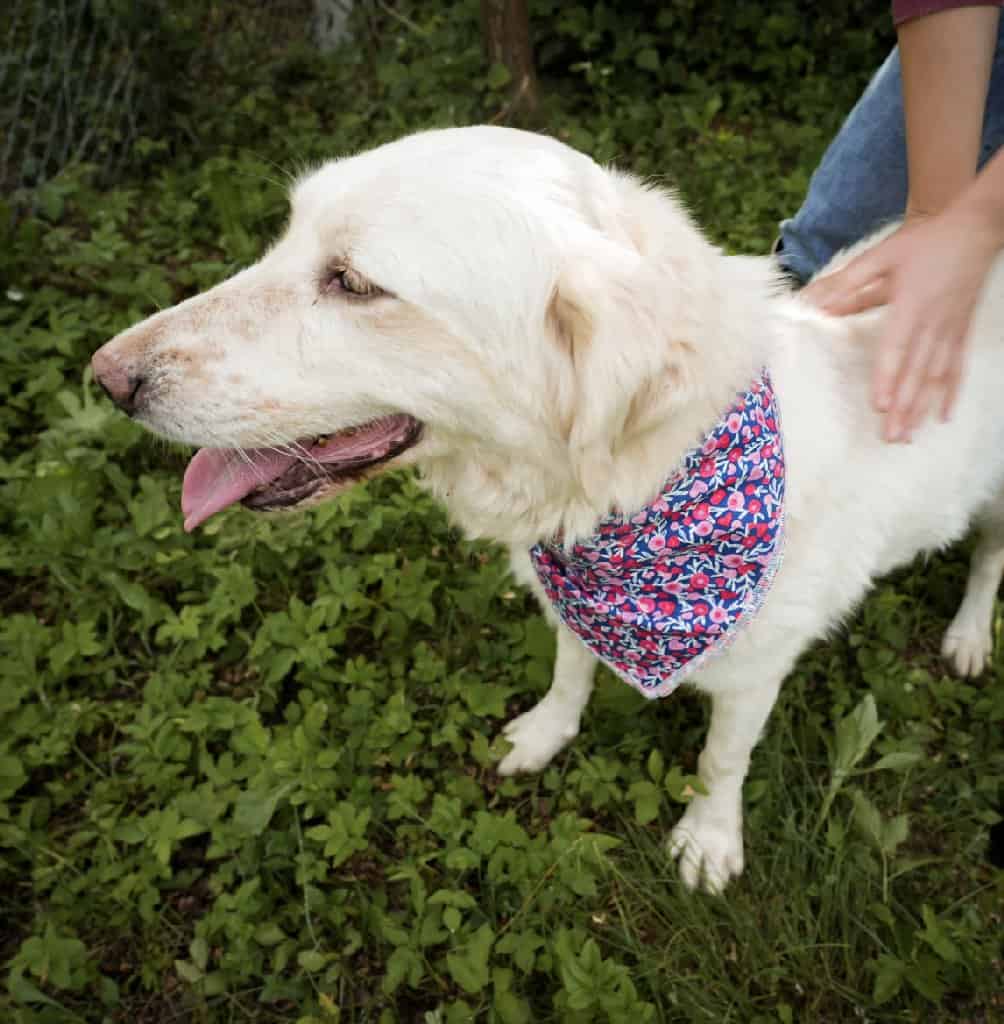 447023519_766336175621120_4552583998740464713_n