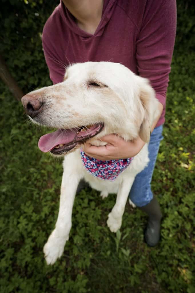 447193785_766336022287802_4850971176330427175_n